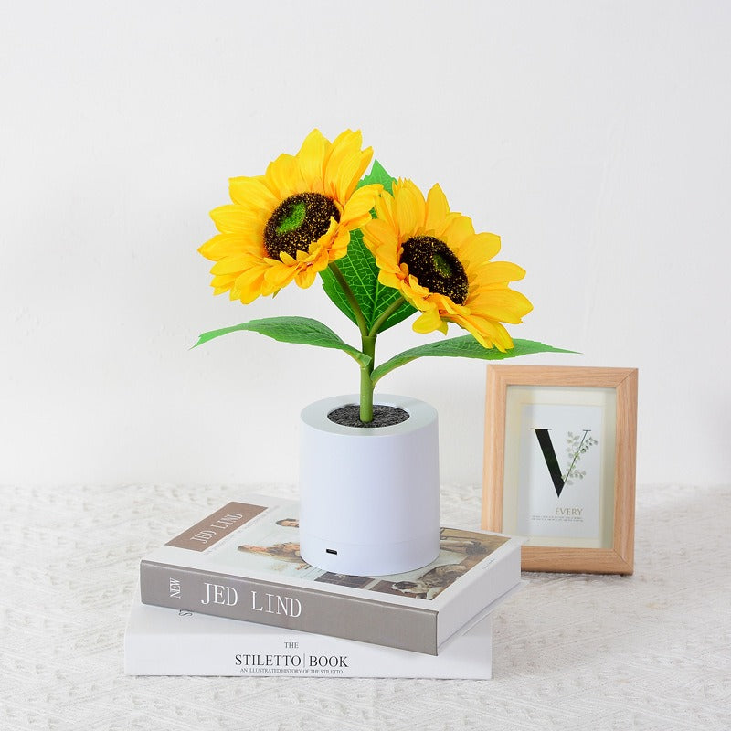 Rechargeable Sunflower LED Night Light – Decorative Bedside Lamp for Girls' Room | Funbrant Decor 🌻✨